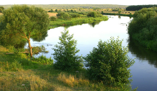 Природа столбцов. Столбцы озеро. Реки Якубы. Столбцы Россия фото. Картинки о родине России с животными.